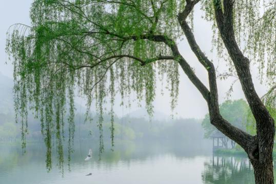 QQ浏览器截图20240510112048.jpg