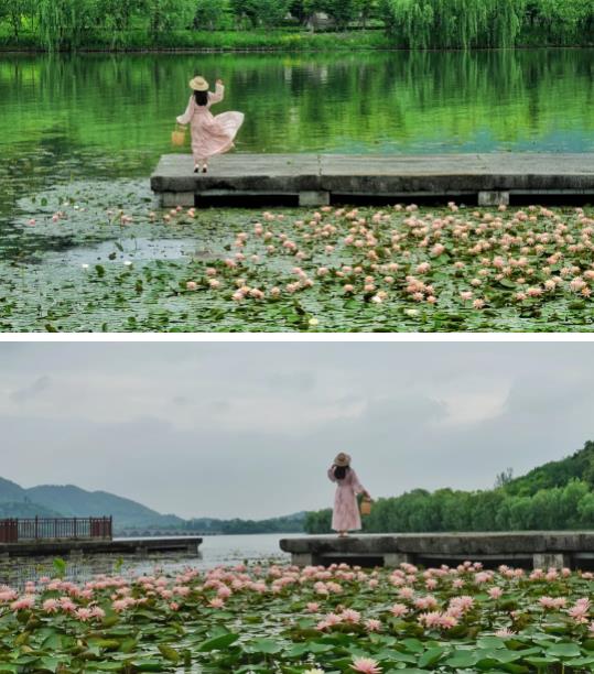 QQ浏览器截图20240510112020.jpg