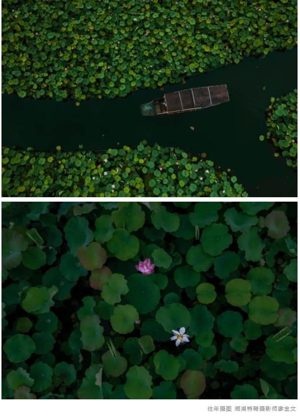 QQ浏览器截图20240524104048.jpg
