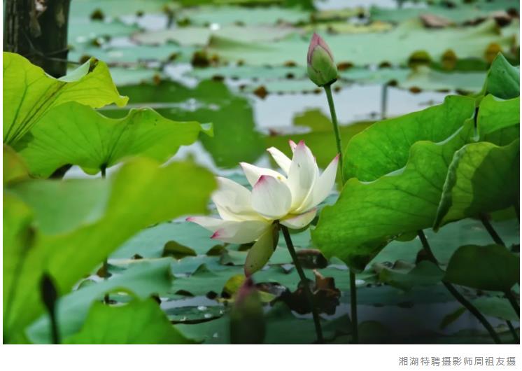 QQ浏览器截图20240524103937.jpg