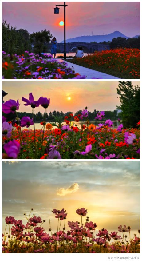 QQ浏览器截图20240527100906.jpg QQ浏览器截图20240527100906.jpg