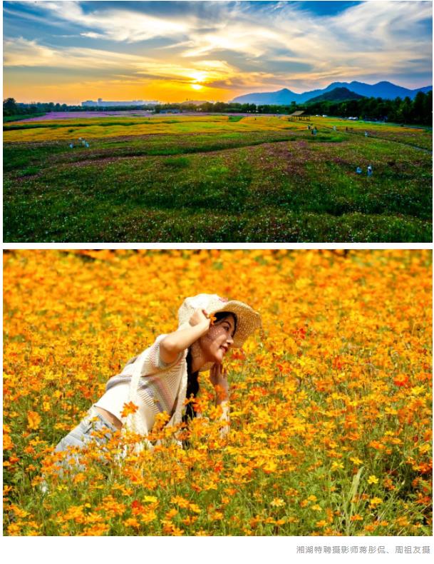 QQ浏览器截图20240604092125.jpg
