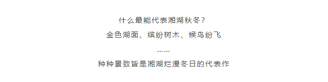 eadc7c61cfc445fef2a1d625b7697b5.png
