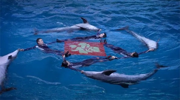 57.jpg